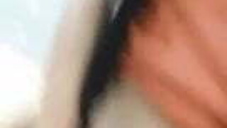 DASI BOOLS